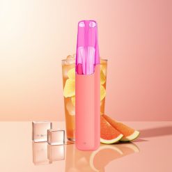 Snowplus Dash 4000 Pufov Hibiskus Ledeni Čaj 530mAh 7.5ml